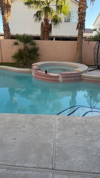 Pool with pigeon taking shower