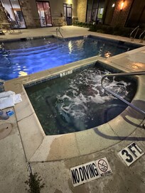 Pool and hot tub mold