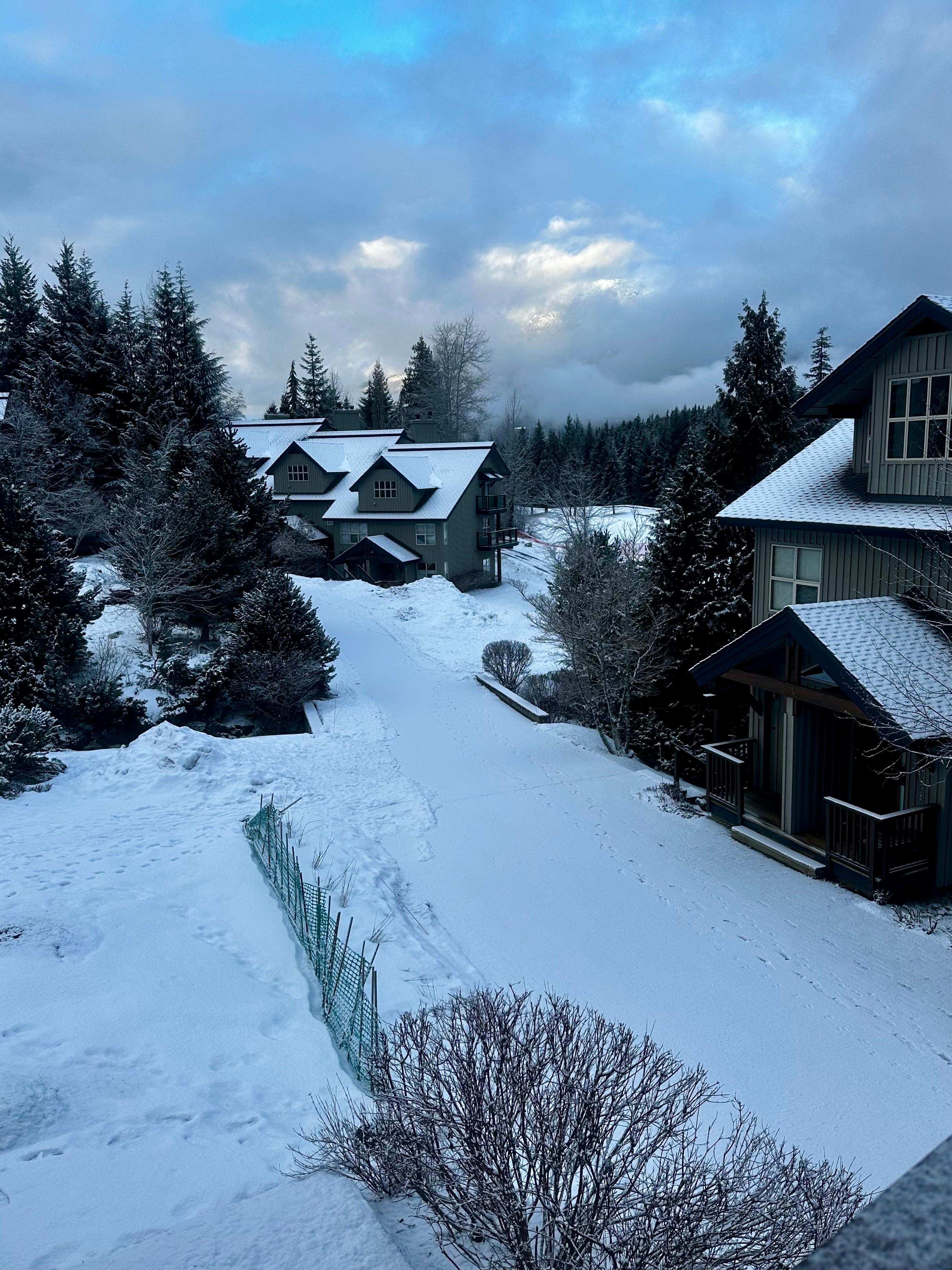 Pretty view from living room.