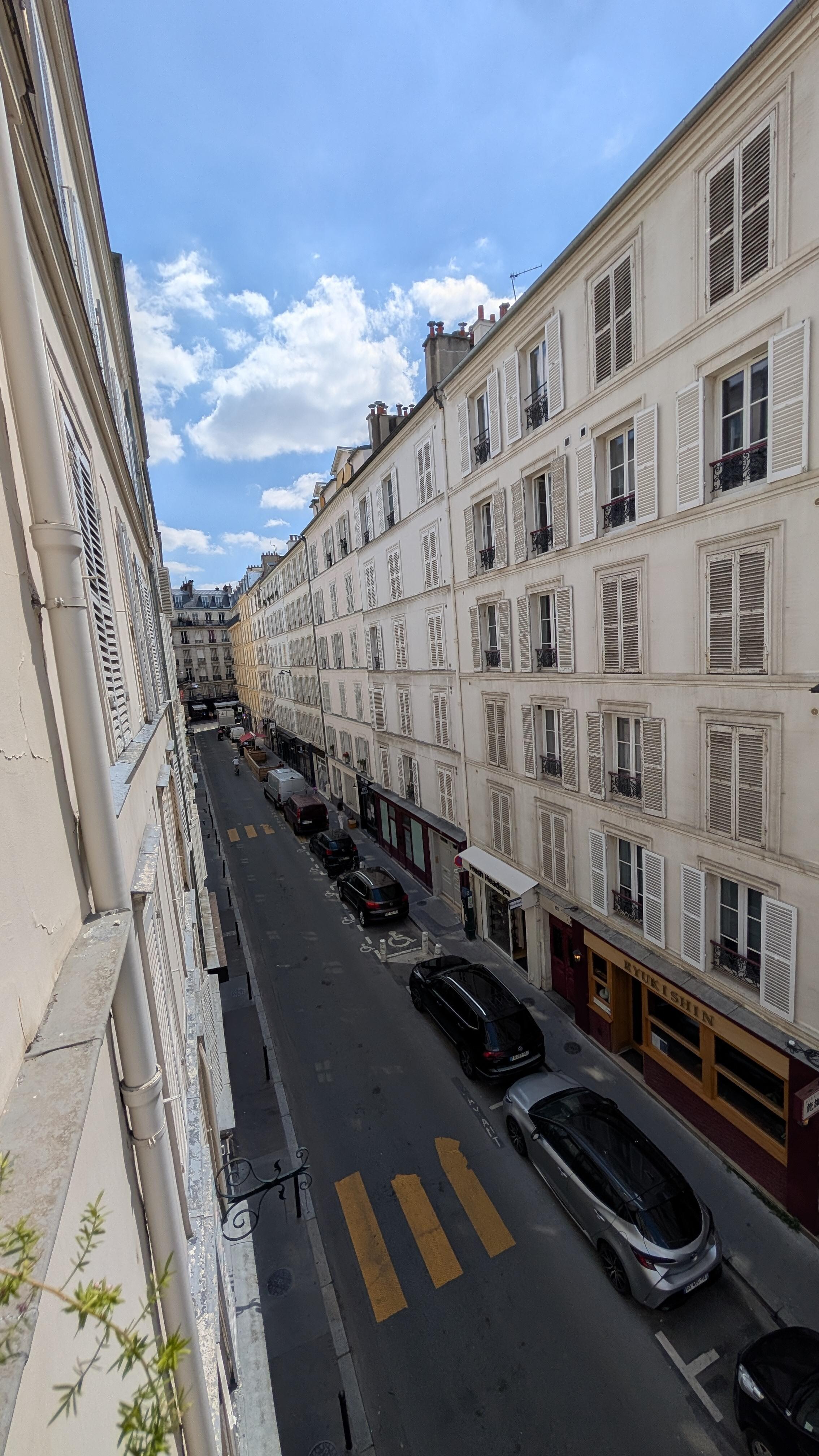 Looking left out of my 3rd floor window. 