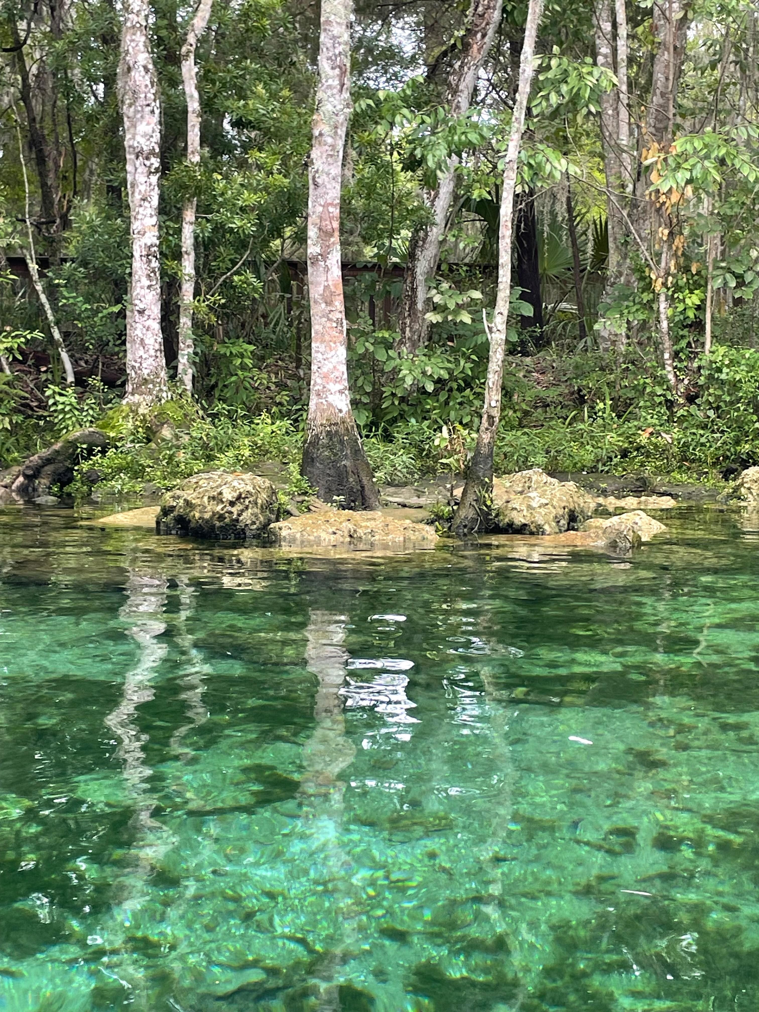 Three Sisters Springs 