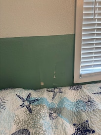 Water damage in Bedroom 1, strong mold odor