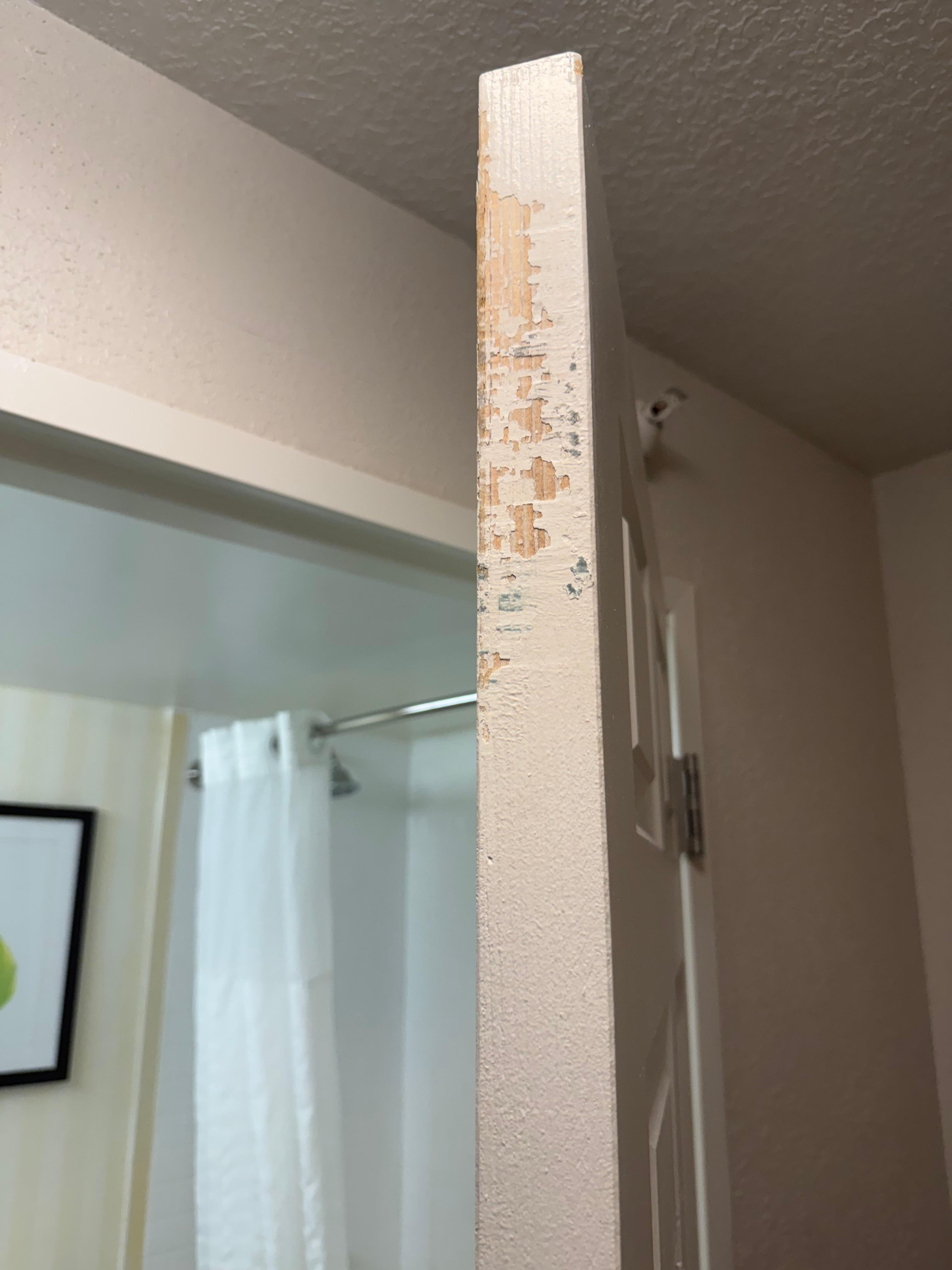 Bathroom door… Completely warped, and unable to close properly.