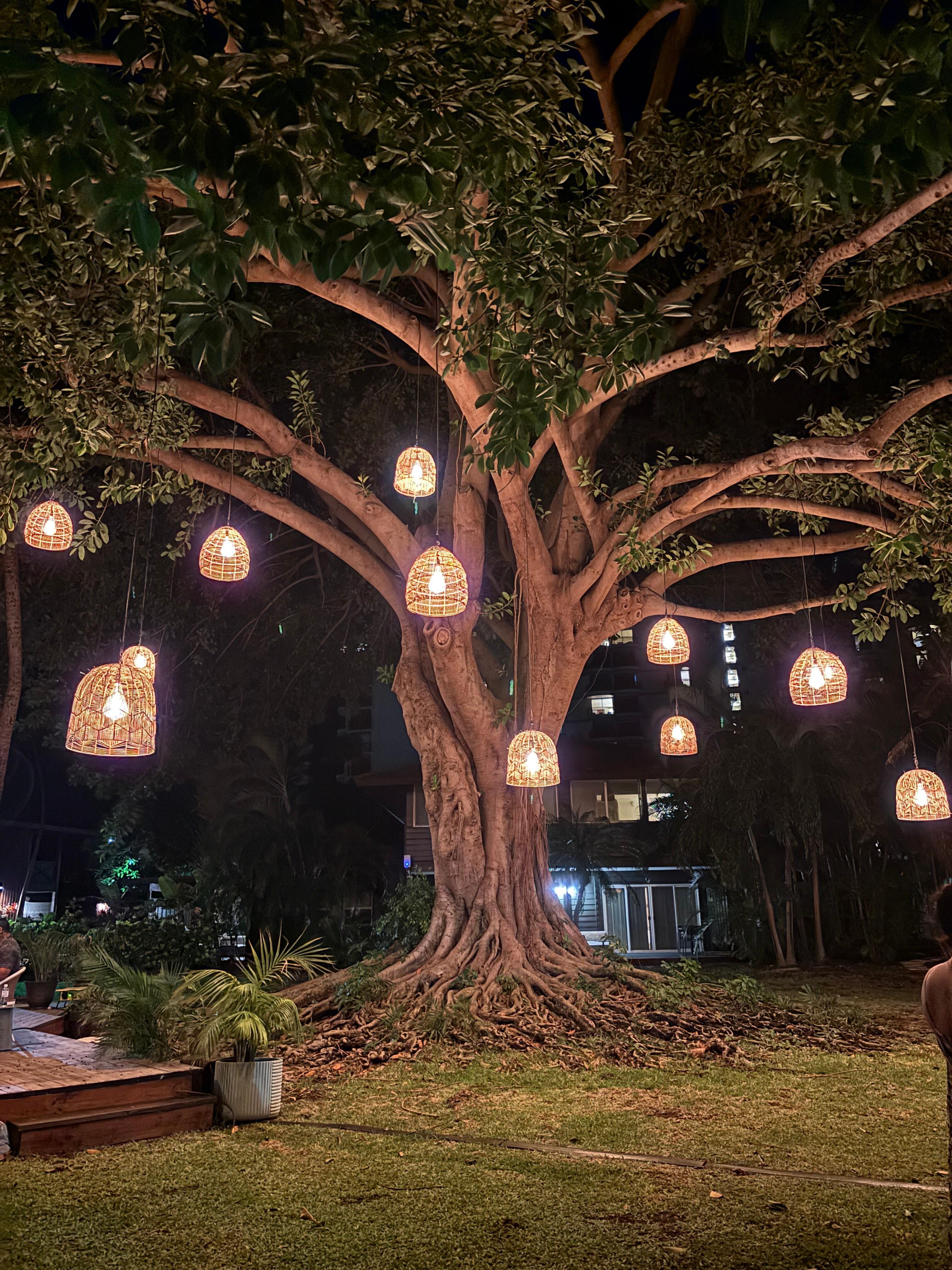 the branches music every night 