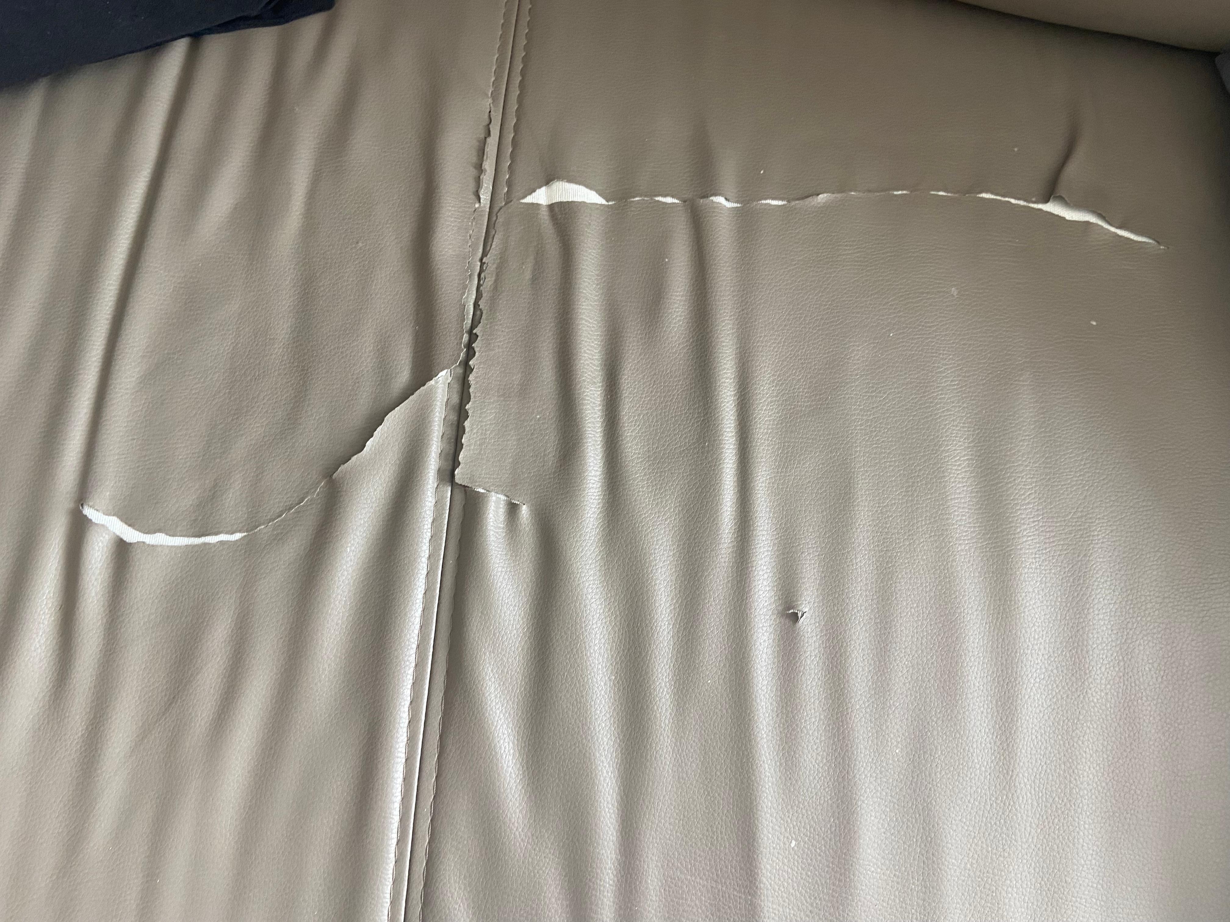 Sofa in lounge ripped 