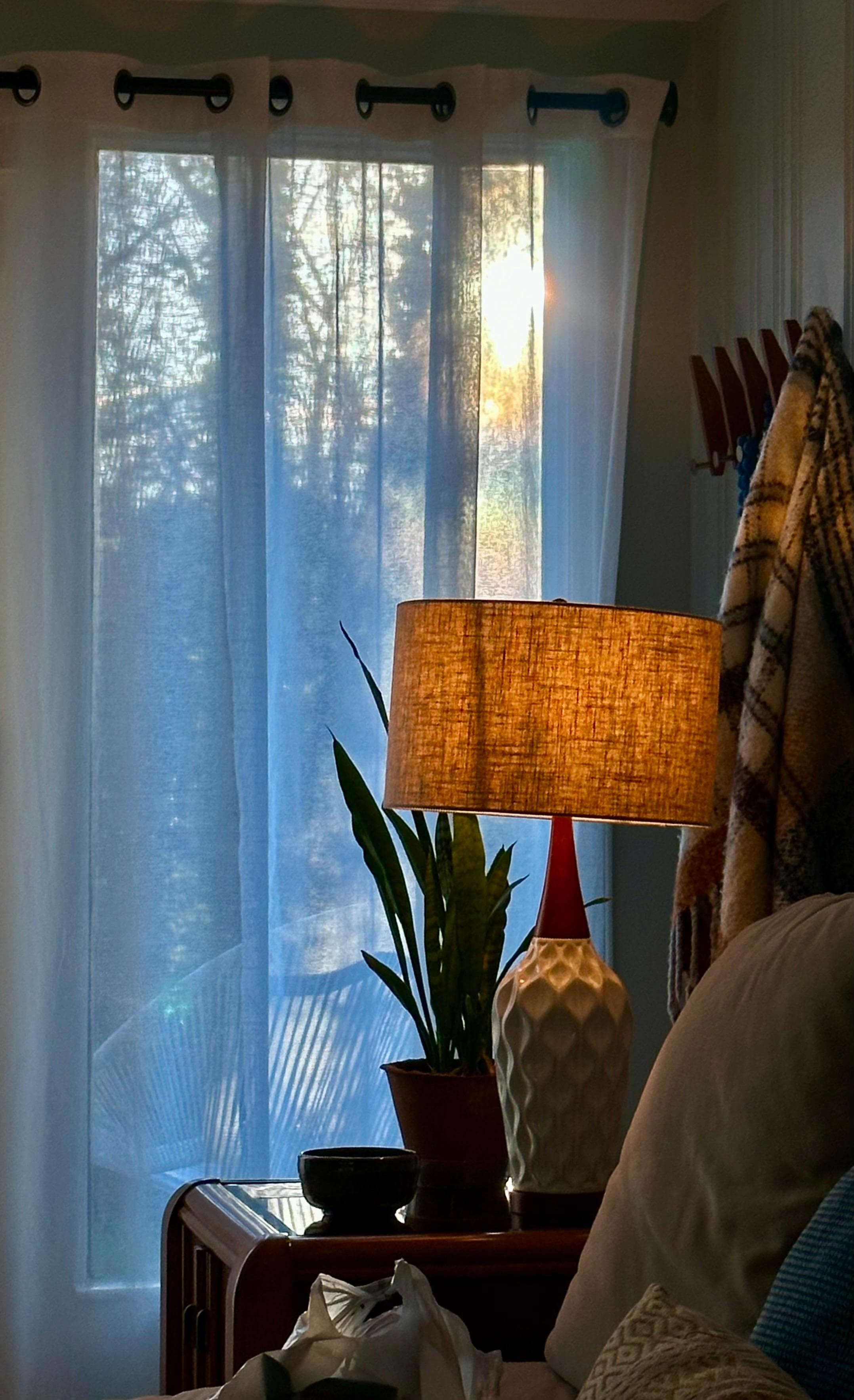 Sunrise through the trees. 