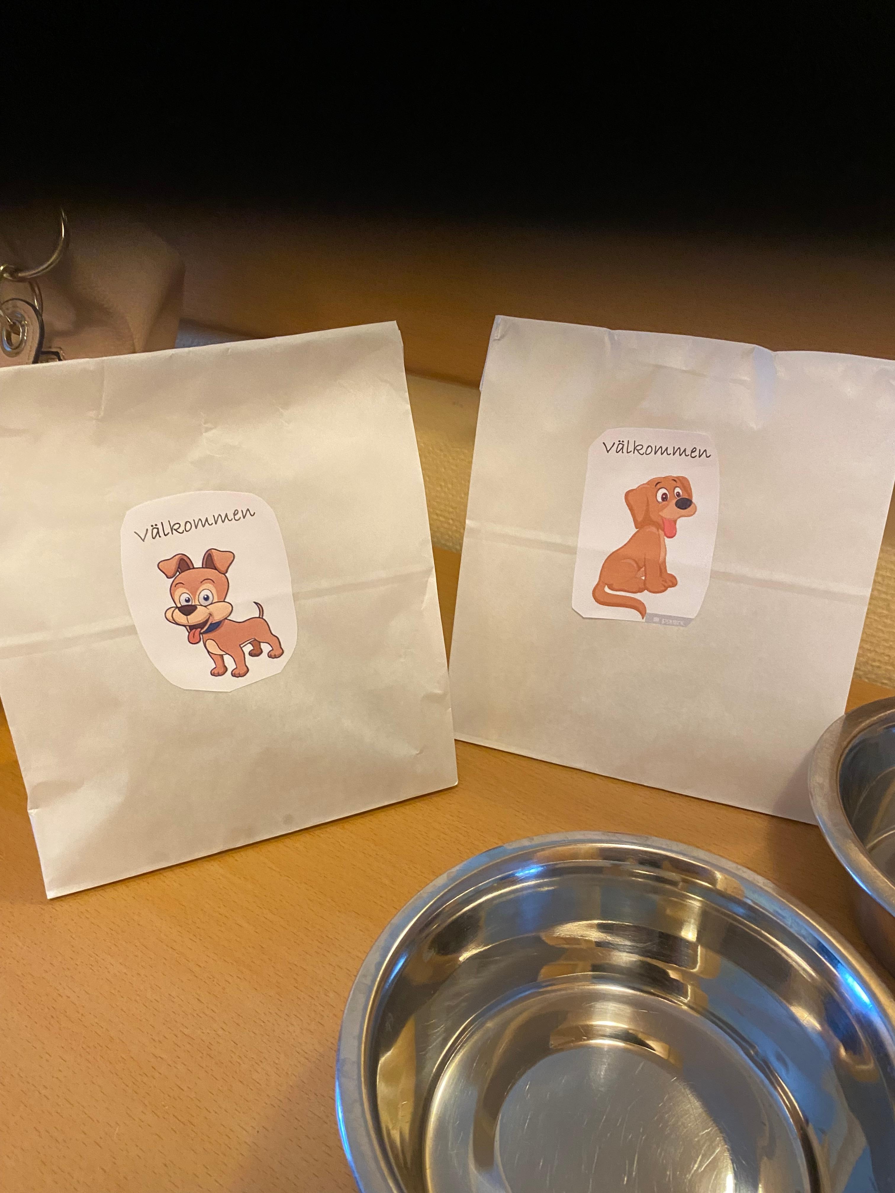 Så gøy med vovsene på slike hotell 