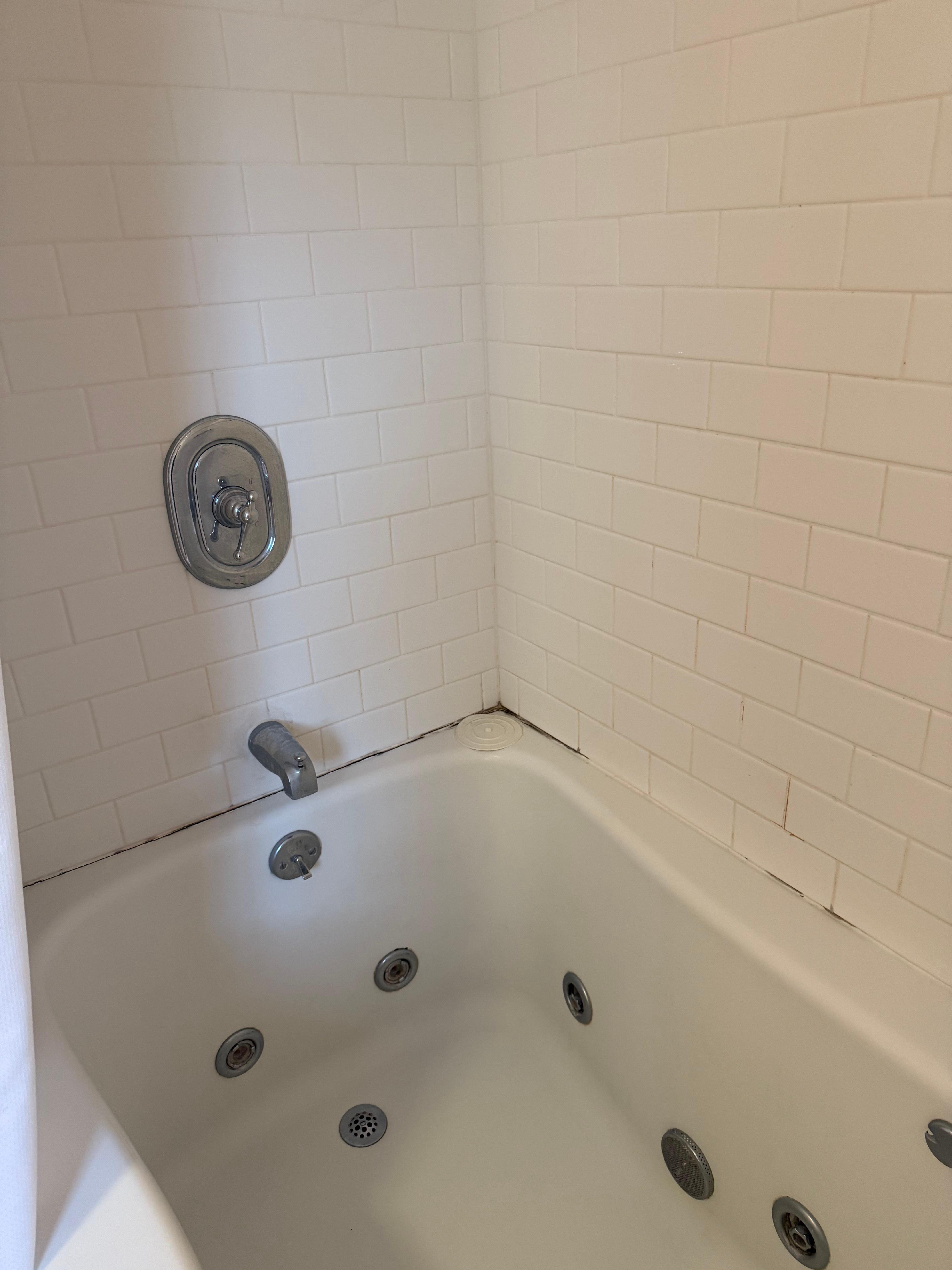 Shower needs to be cleaned and caulked. 