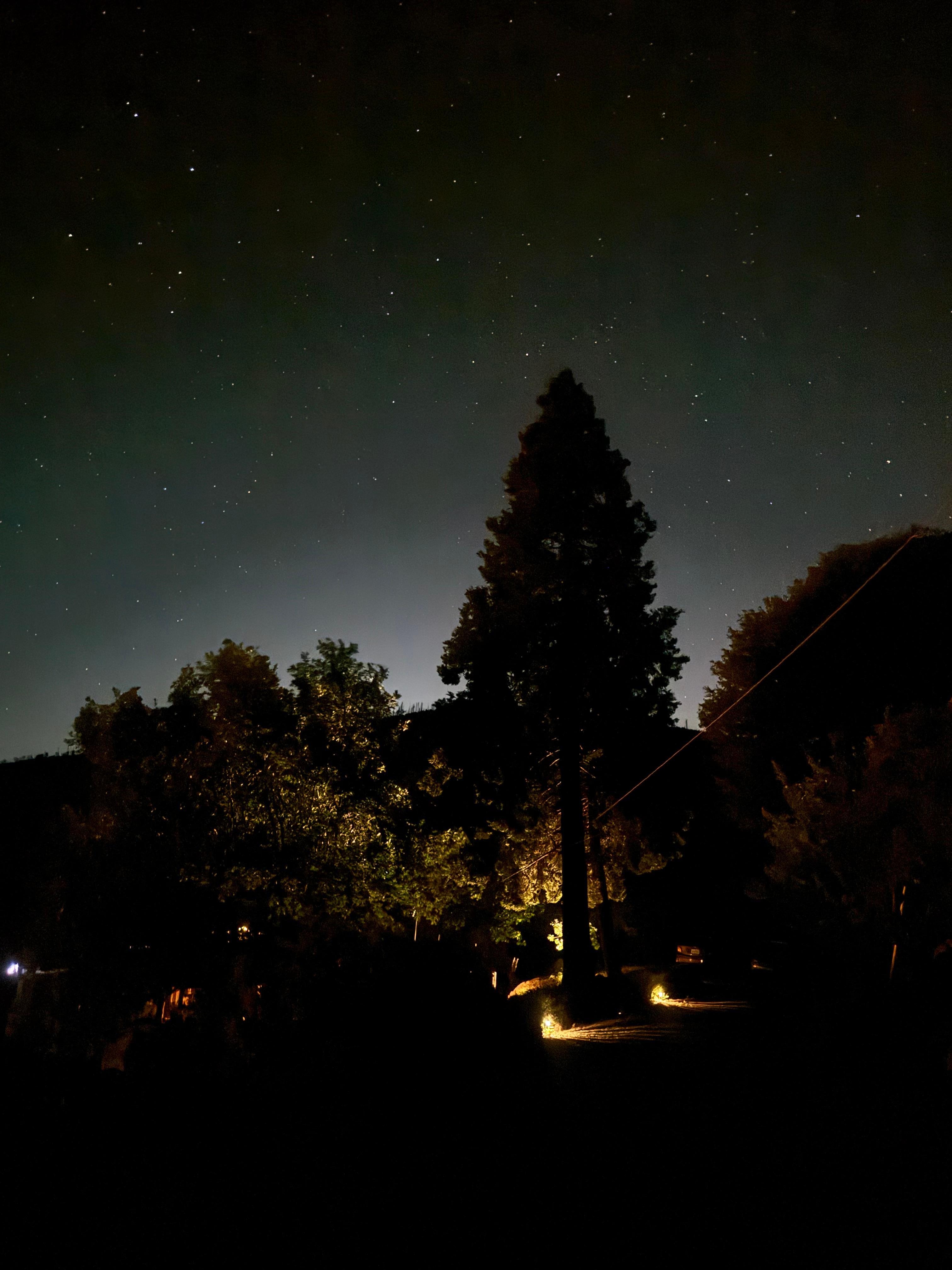 Night Sky