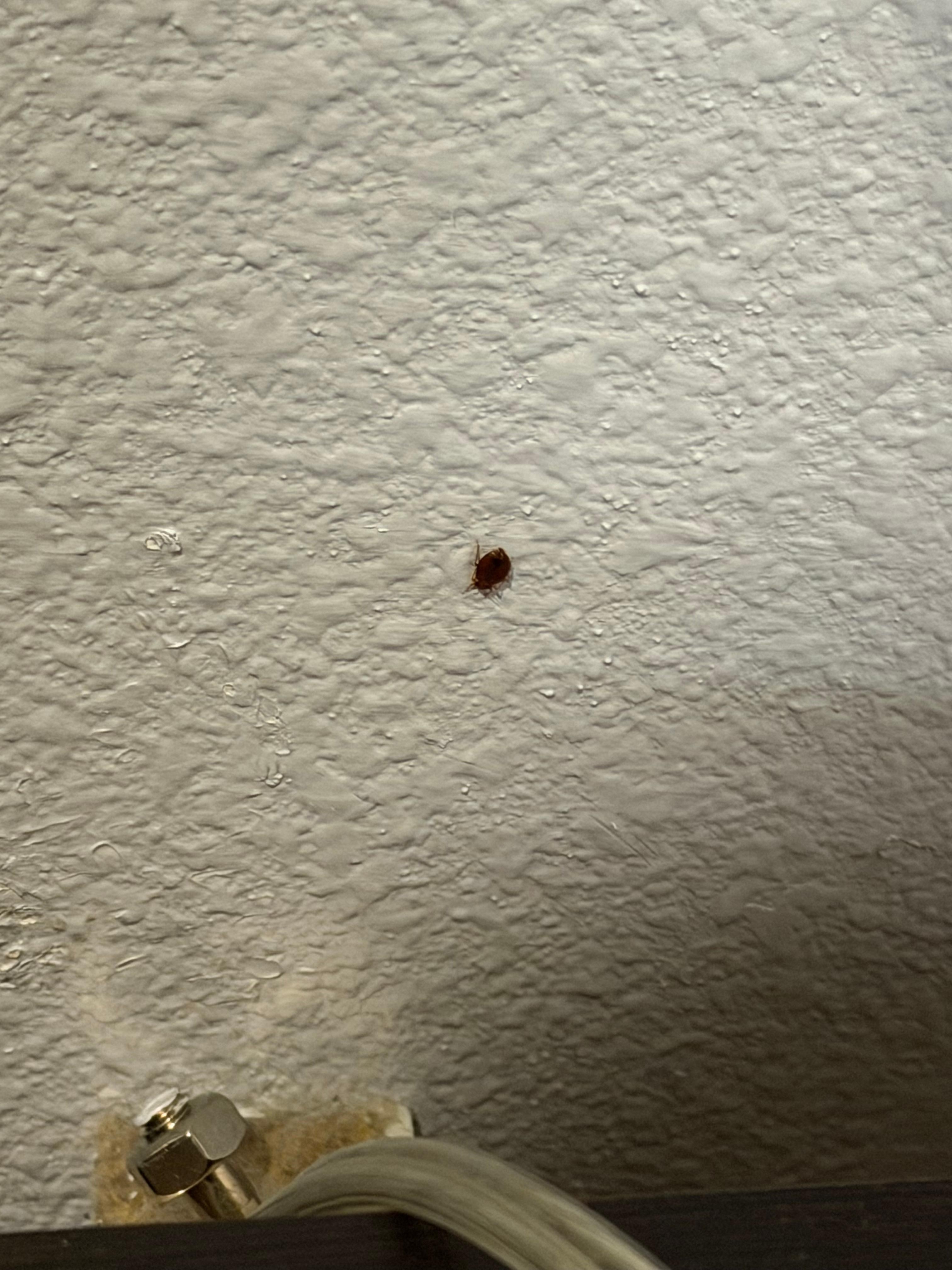 We found multiple bugs 