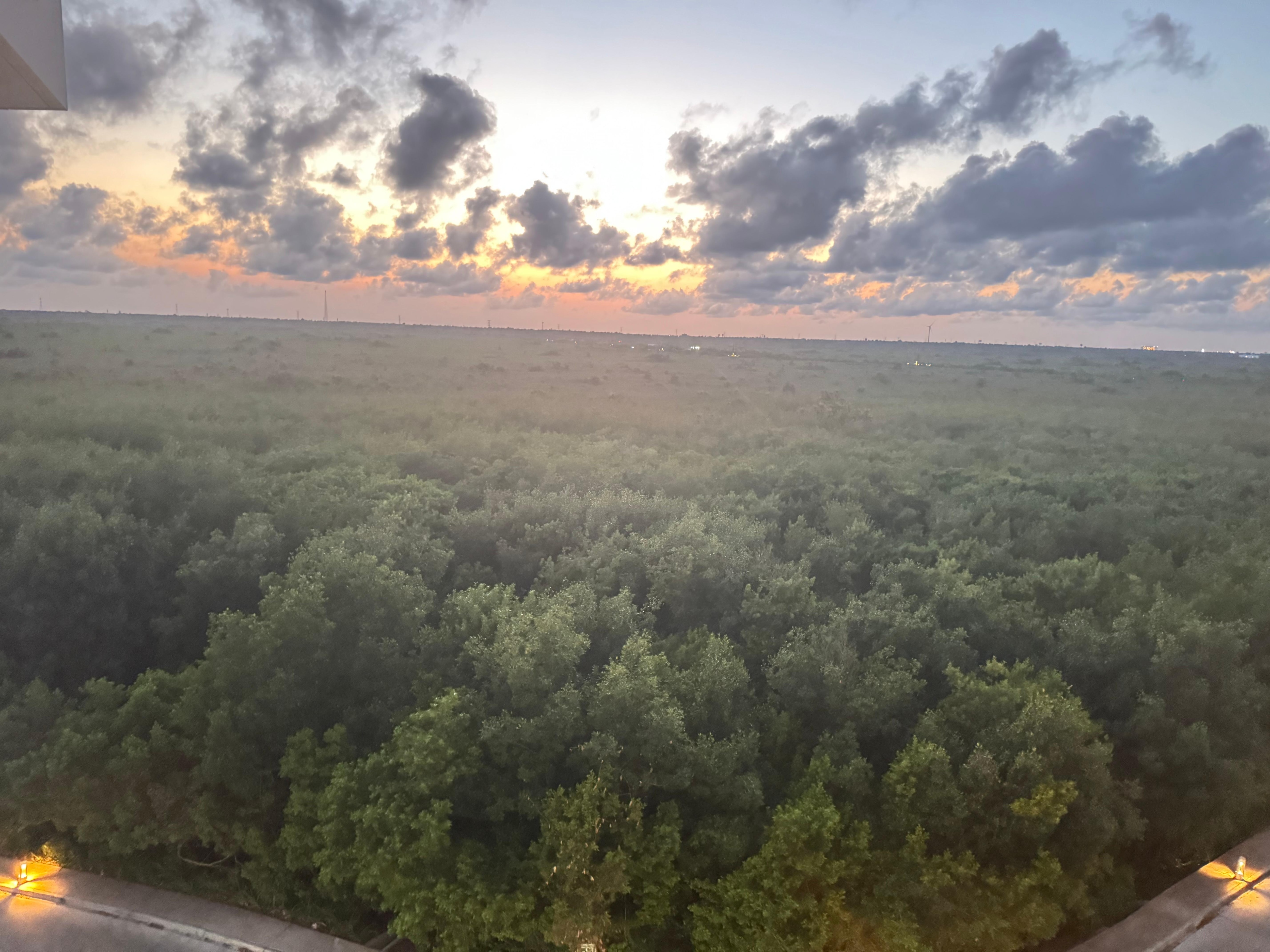Jungle sunset view room