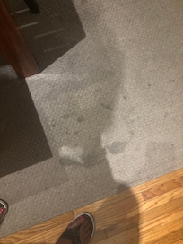 Downstairs rug