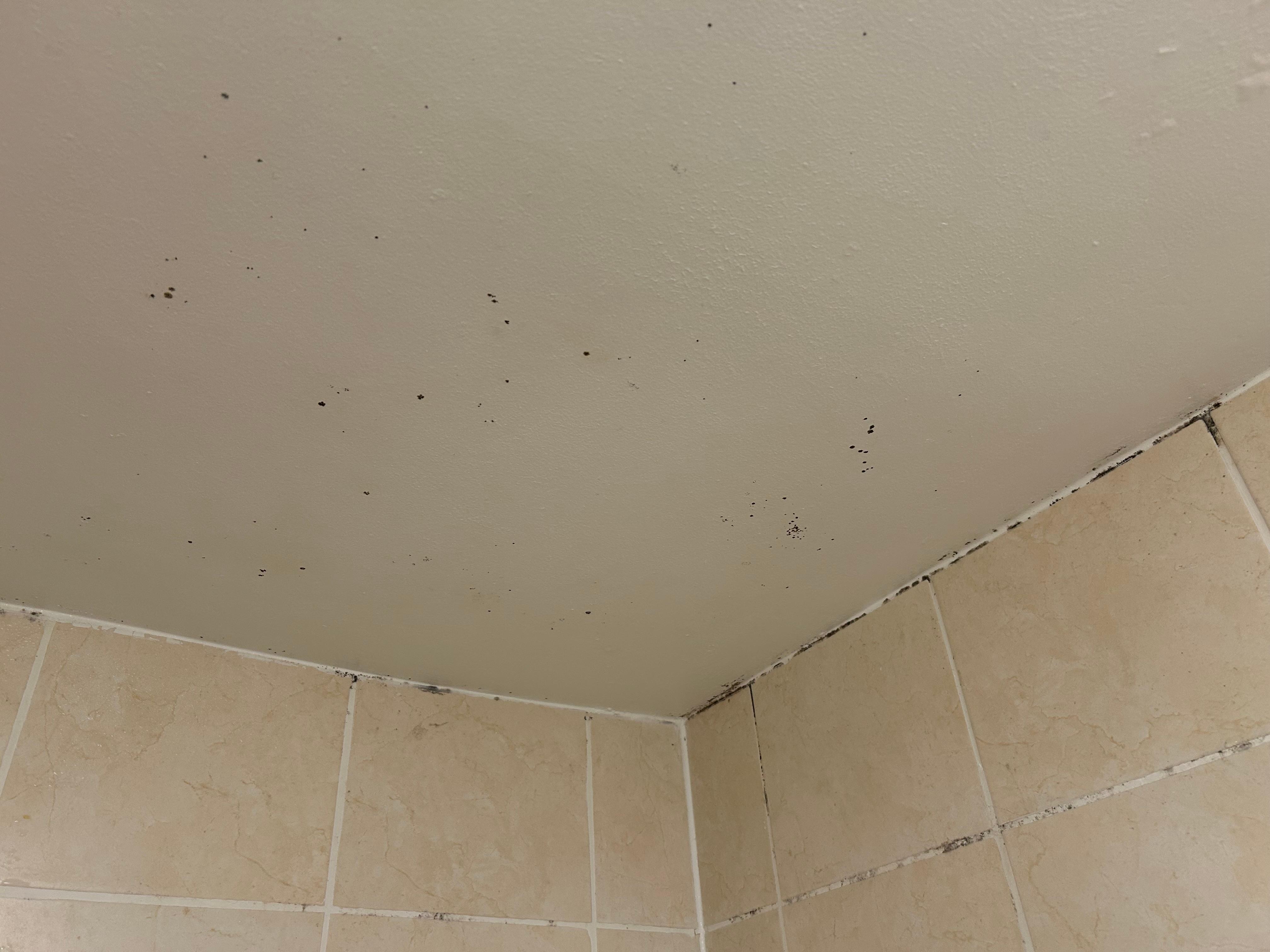 Shower mould 
