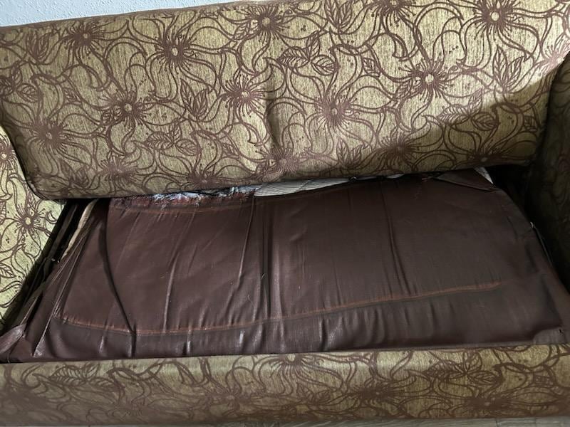 sofa bed