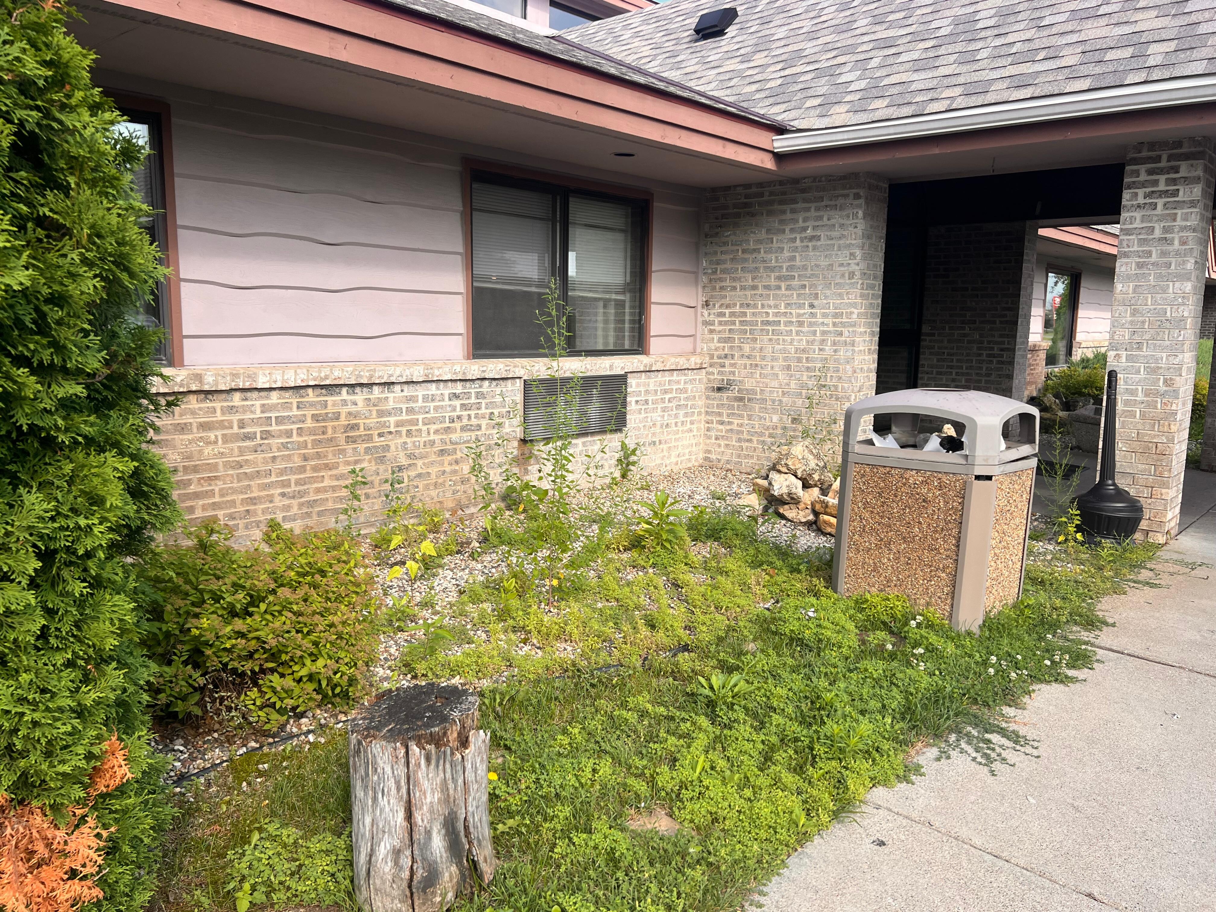Outside is trashed, weeds overgrown. Dog poop everywhere in grass. Overflowing garbage that stayed that way for a long time. Cigarette butts all over entrance. On rocks, in plant potters and all over ground. Just a rundown hotel