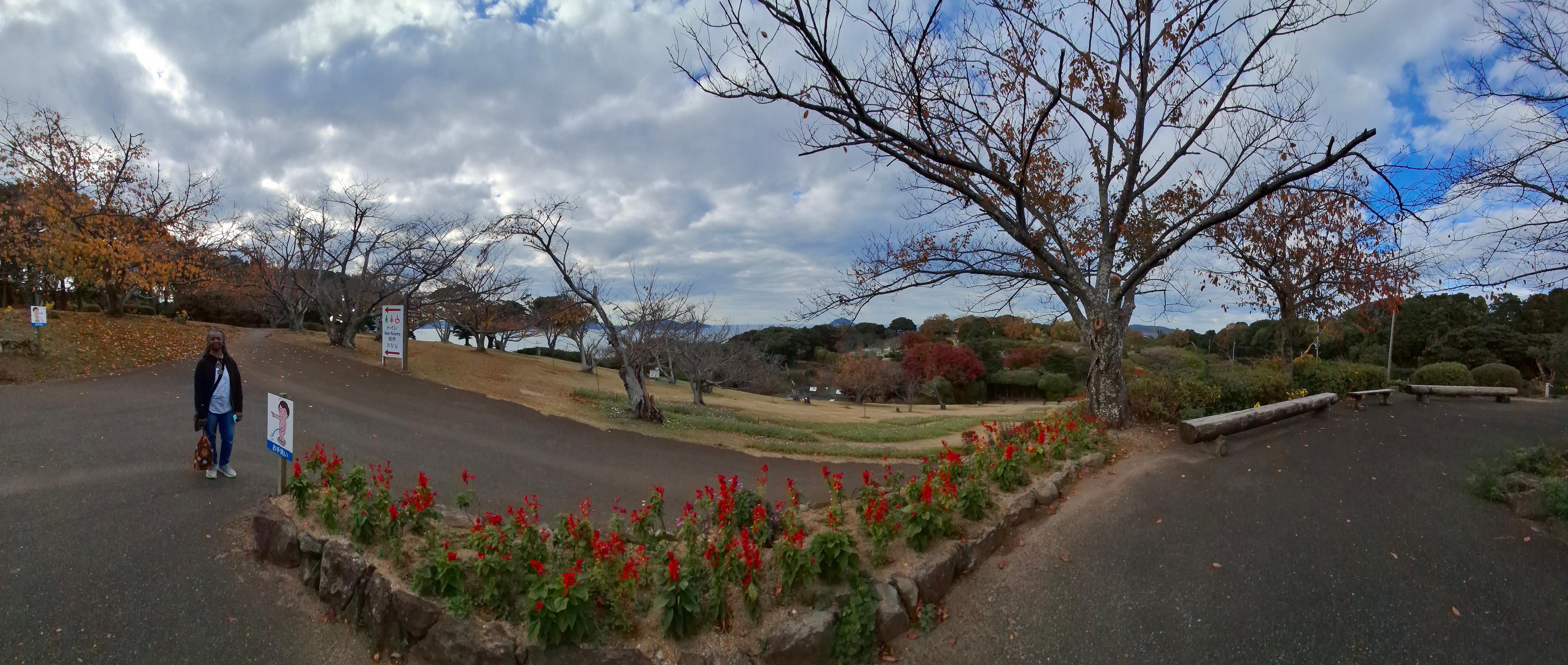 Park view from front entry