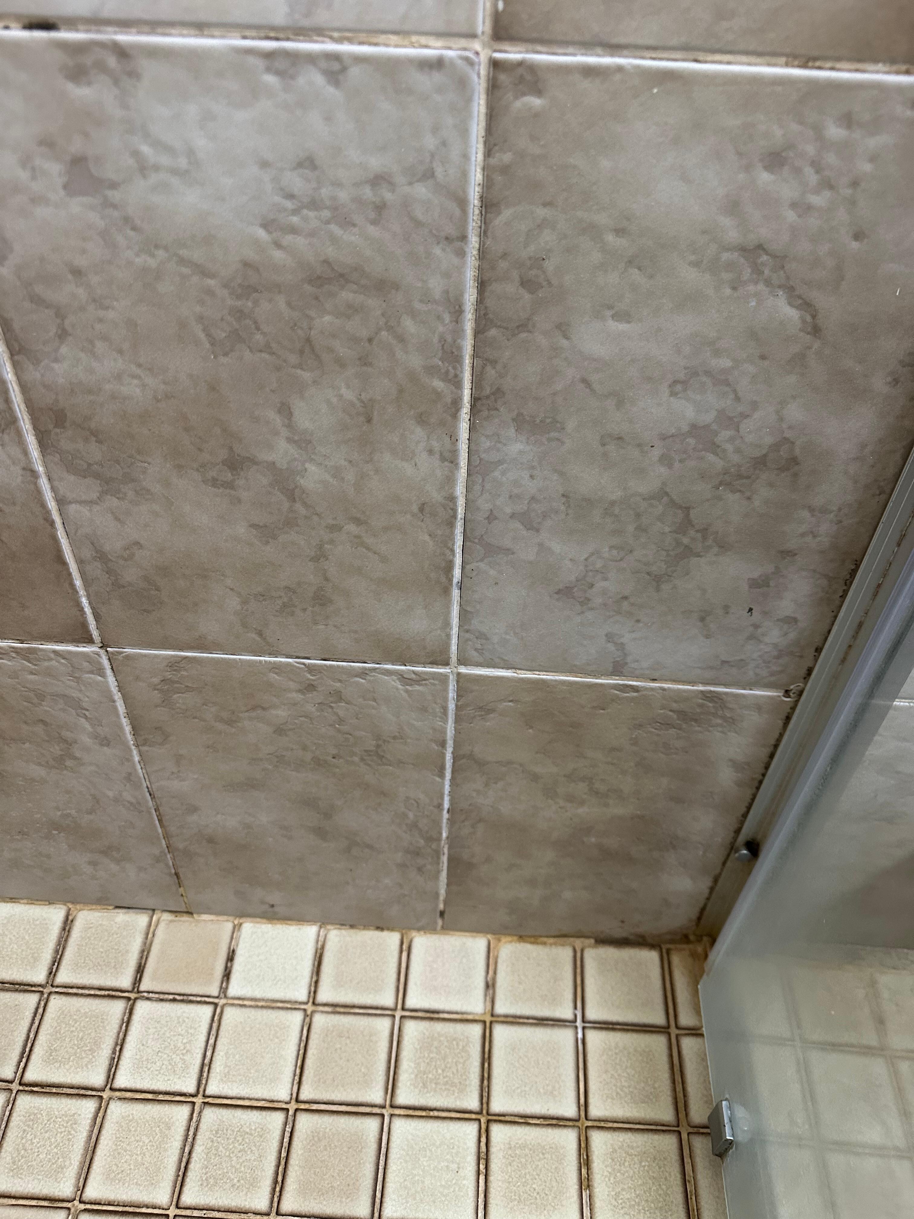 Mould