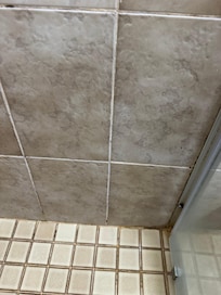Mould