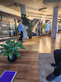 The lobby furniture was shabby and the plants has an inch of dust