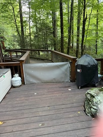 Deck has removable gates to keep kids safer.