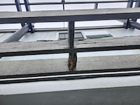 Rotting board over entrance to my room