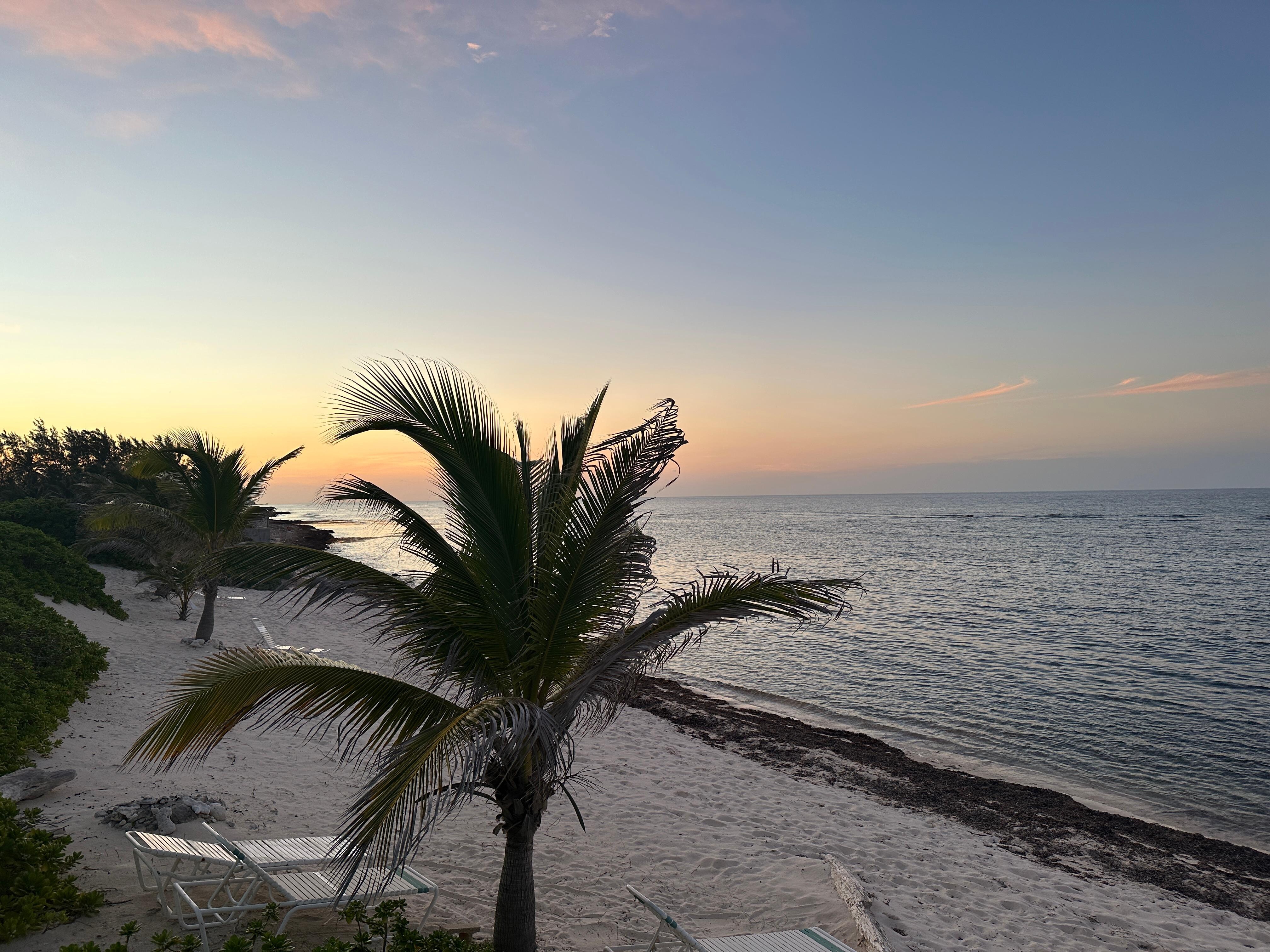 Sunset. 