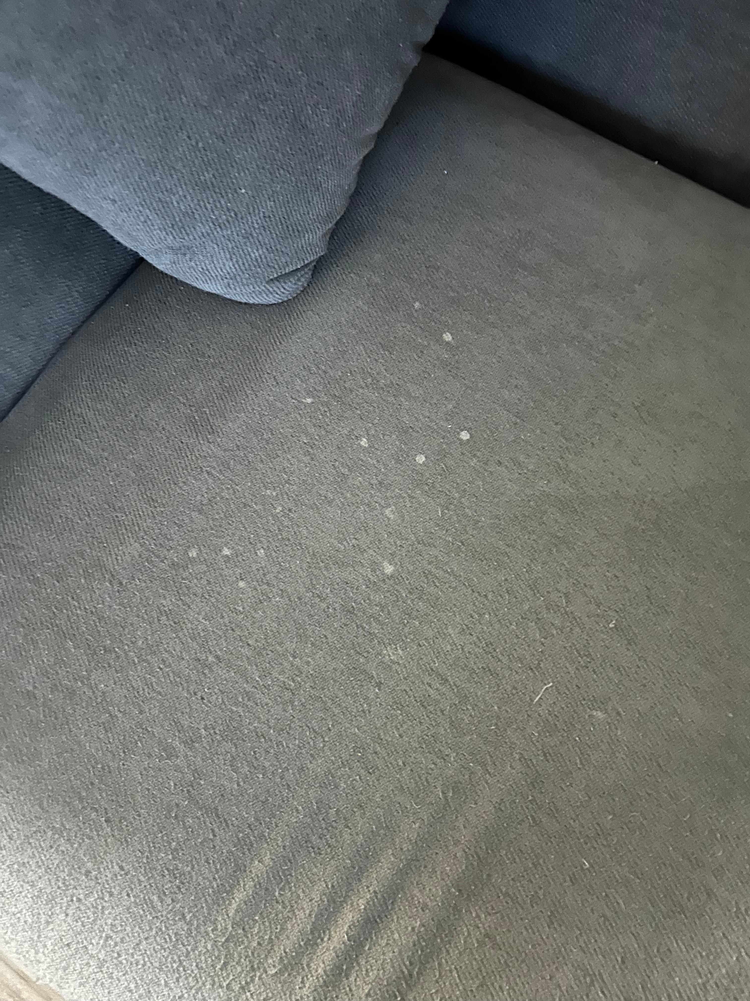 Stains on the couch had to lay down towels to sit there. 