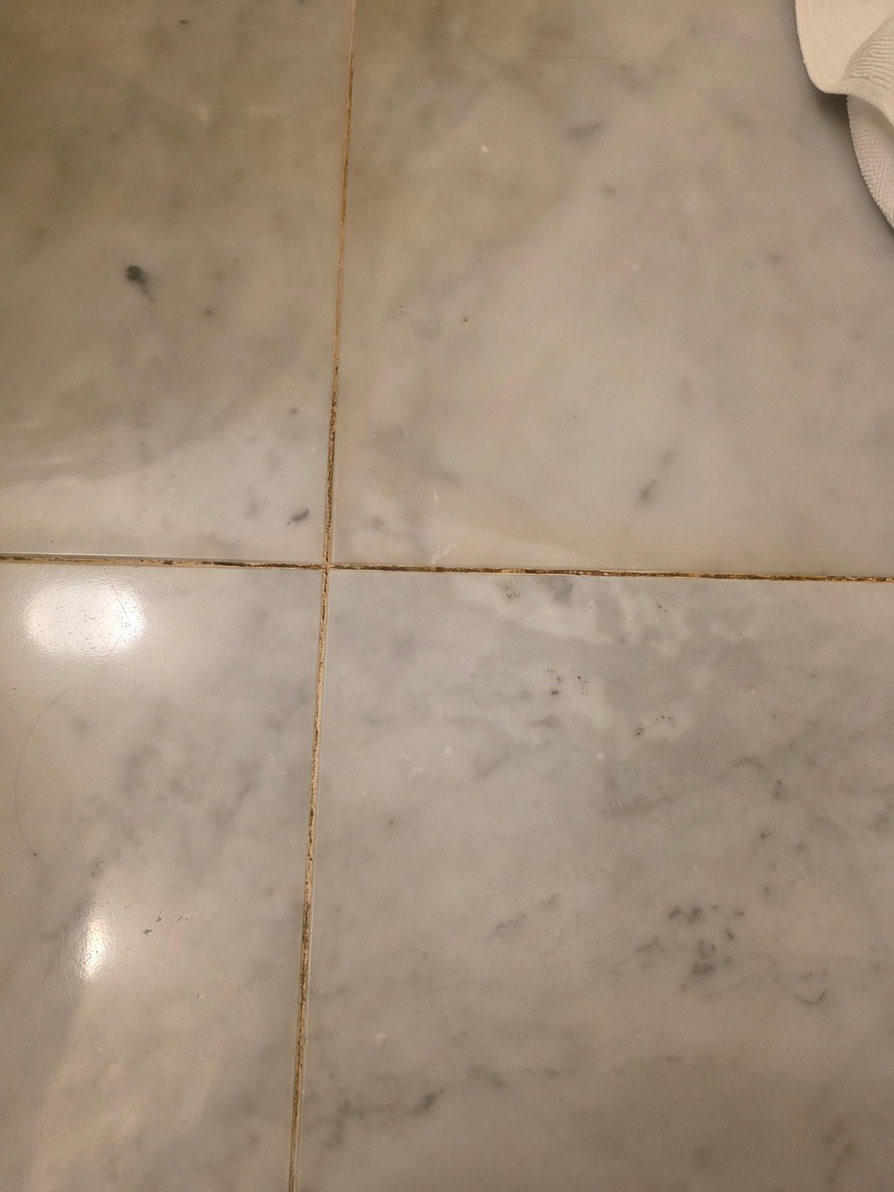 Tile grout dirty looking