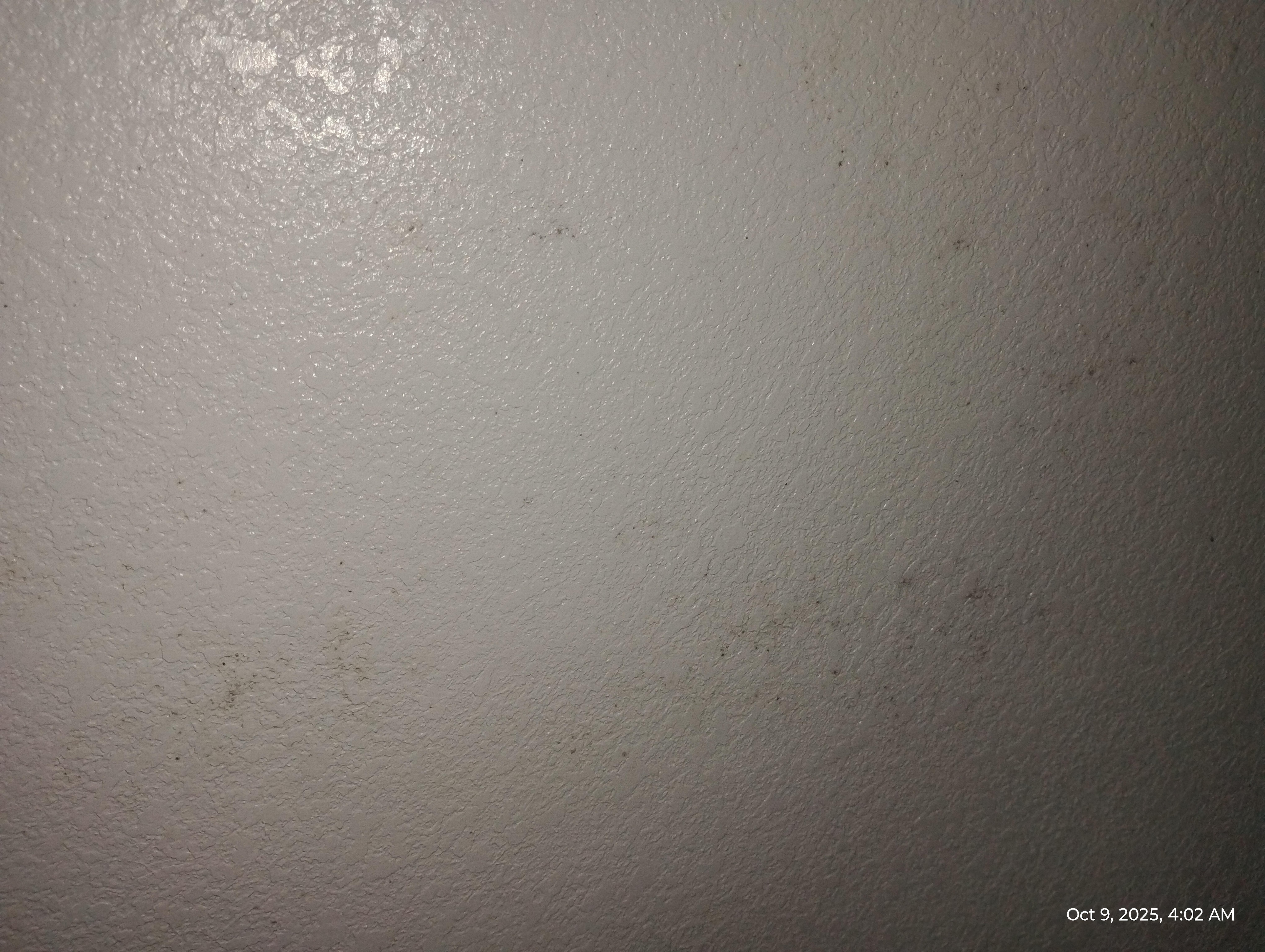 More mold on wall