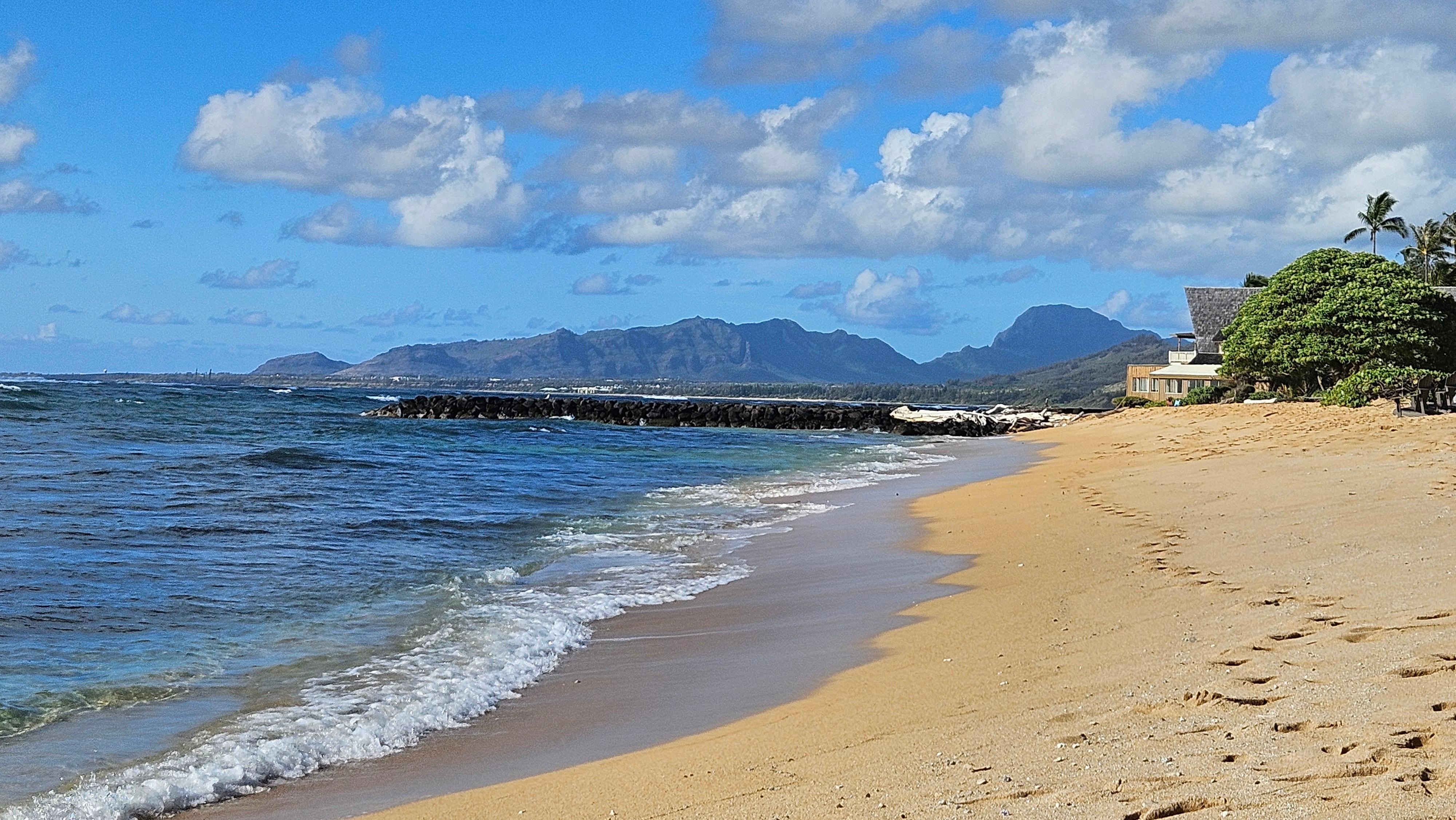Looking west along the beach