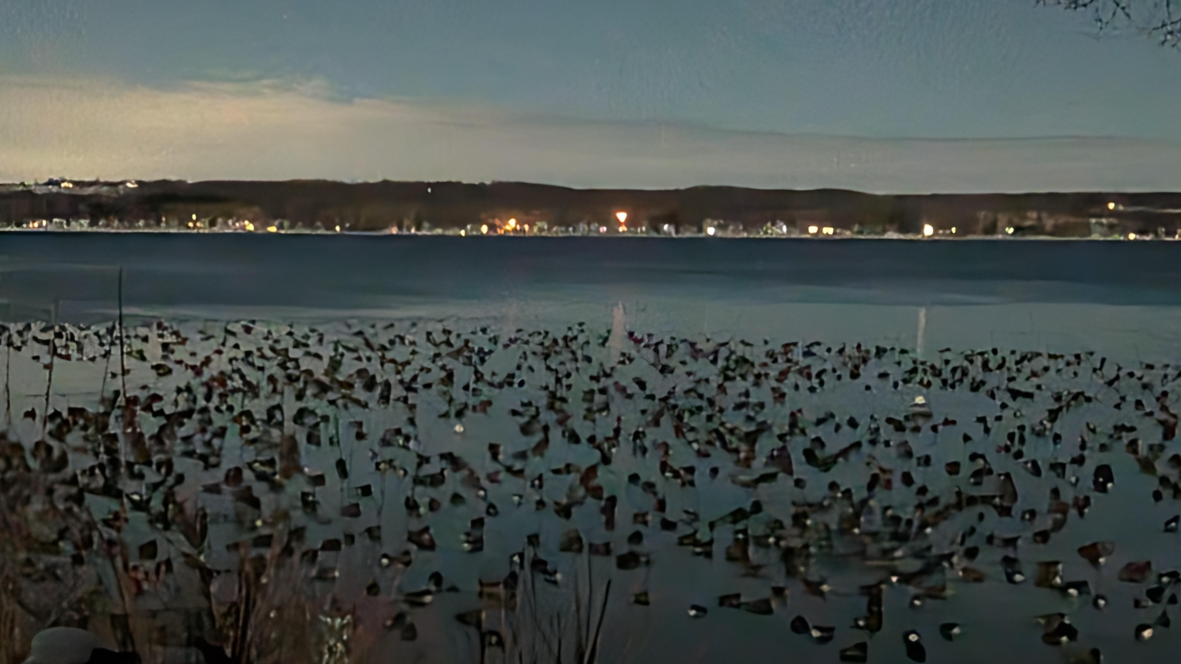 Canadian Geese hanging out at the end of the day