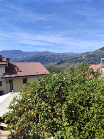 Vue depuis la terrasse