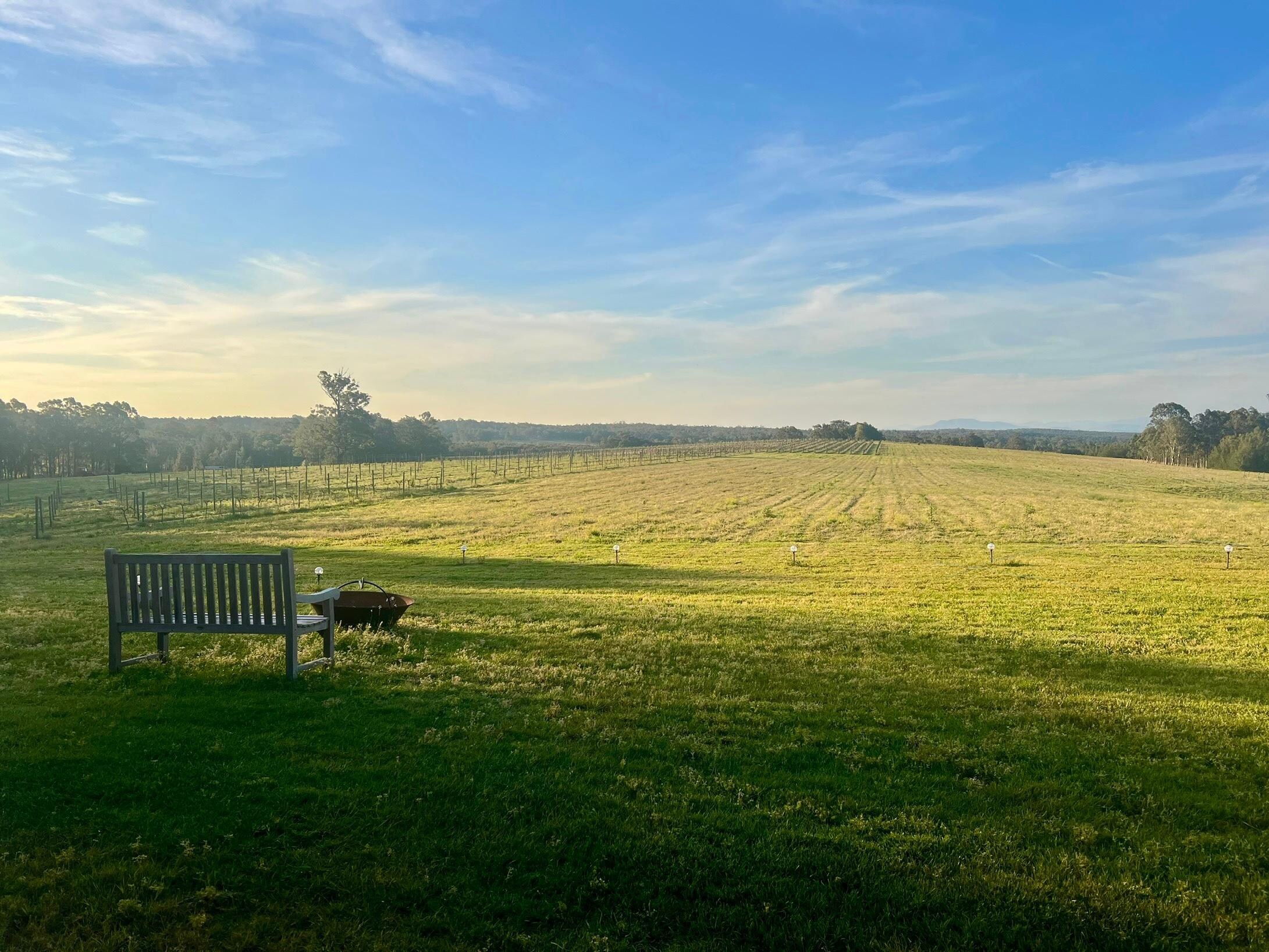 VINEYARD VIEW ON PROPERTY