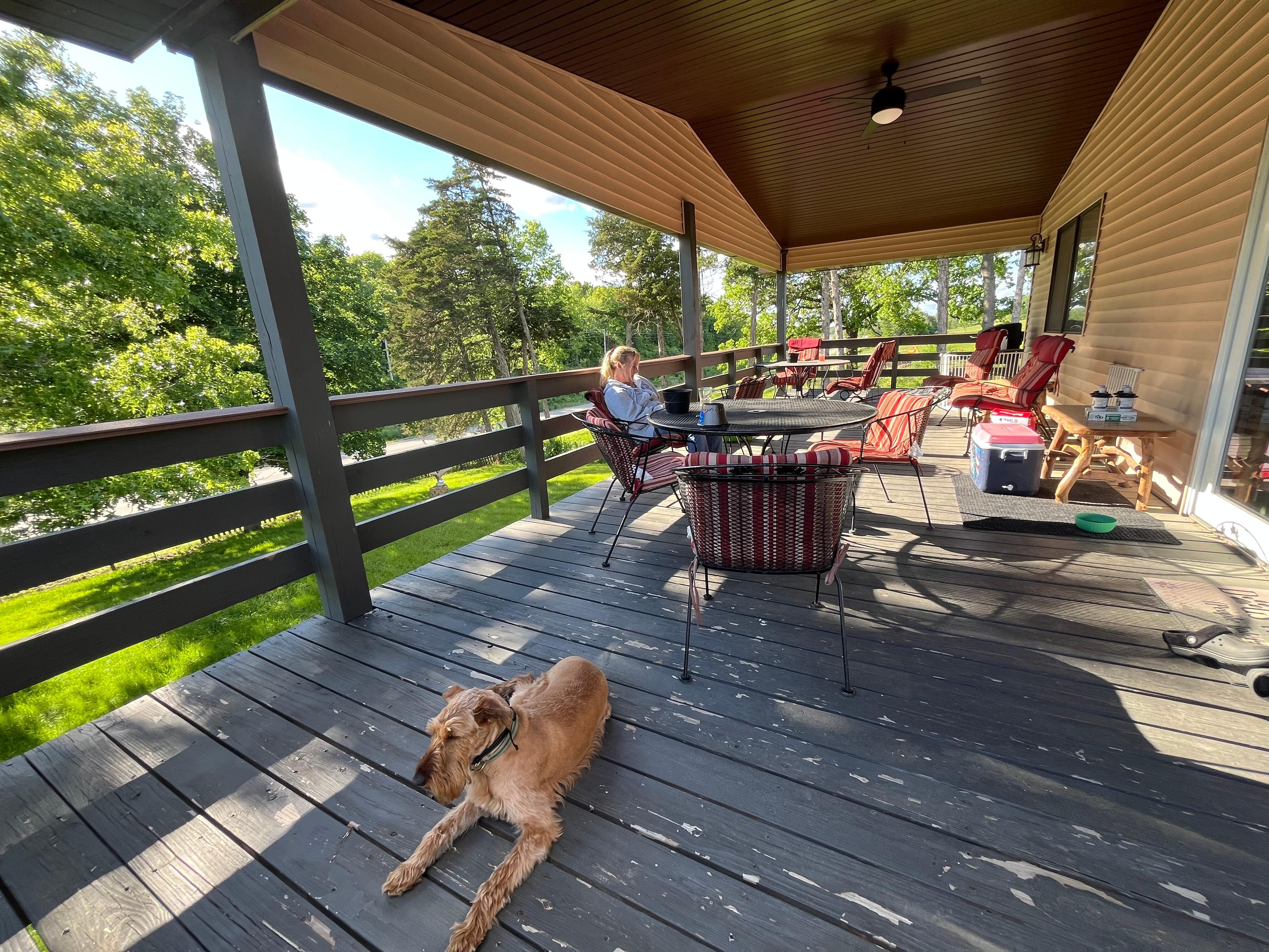  Chilling on the deck.