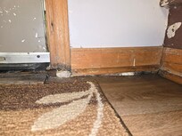 Entire house had a strong smell of mold and dampness. This is just one spot where the floor had collapsed, probably because of rotten trusses. You can visibly see mold here, this was in the kitchen by the stairs to go upstairs.