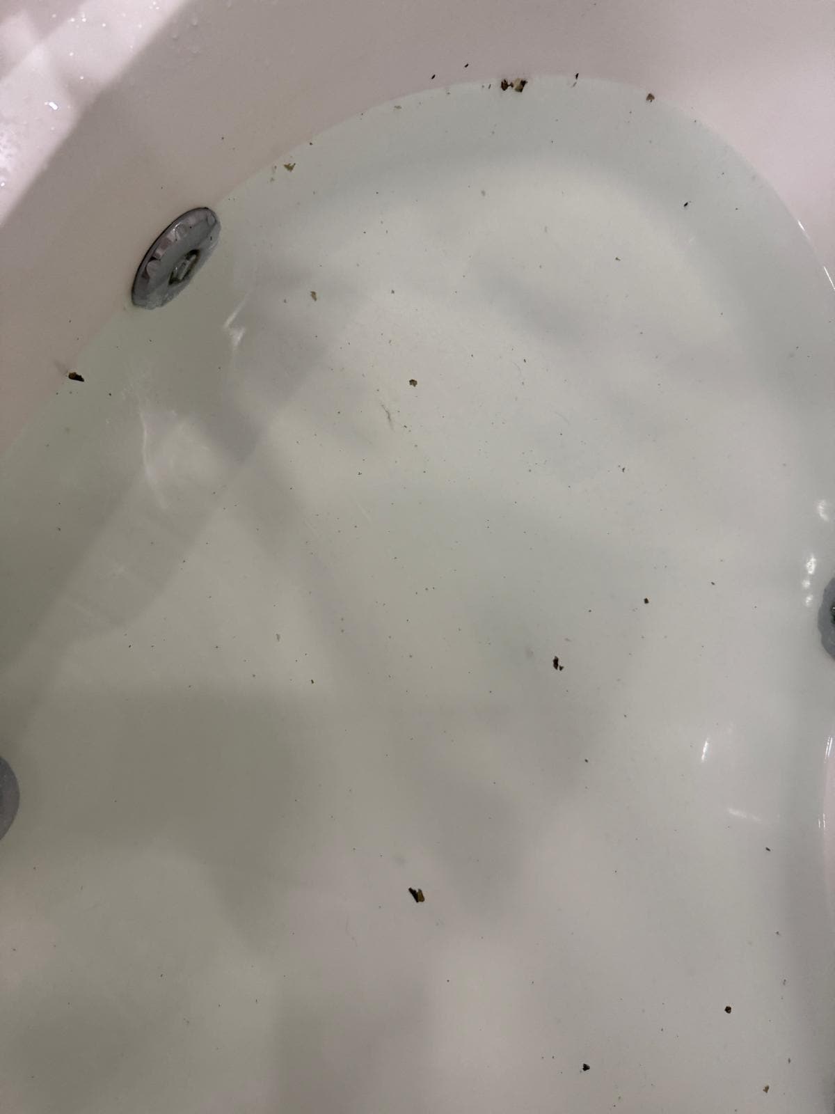 Black stuff left by jets in bathtub.