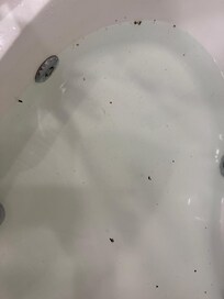 Black stuff left by jets in bathtub.