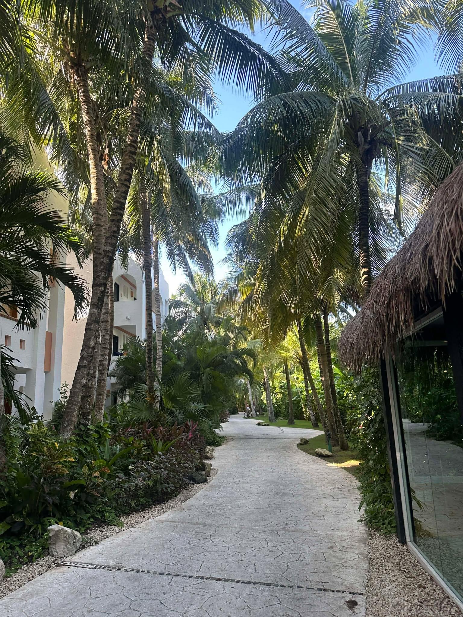 Walking through the resort