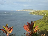 View of coastline from the patio