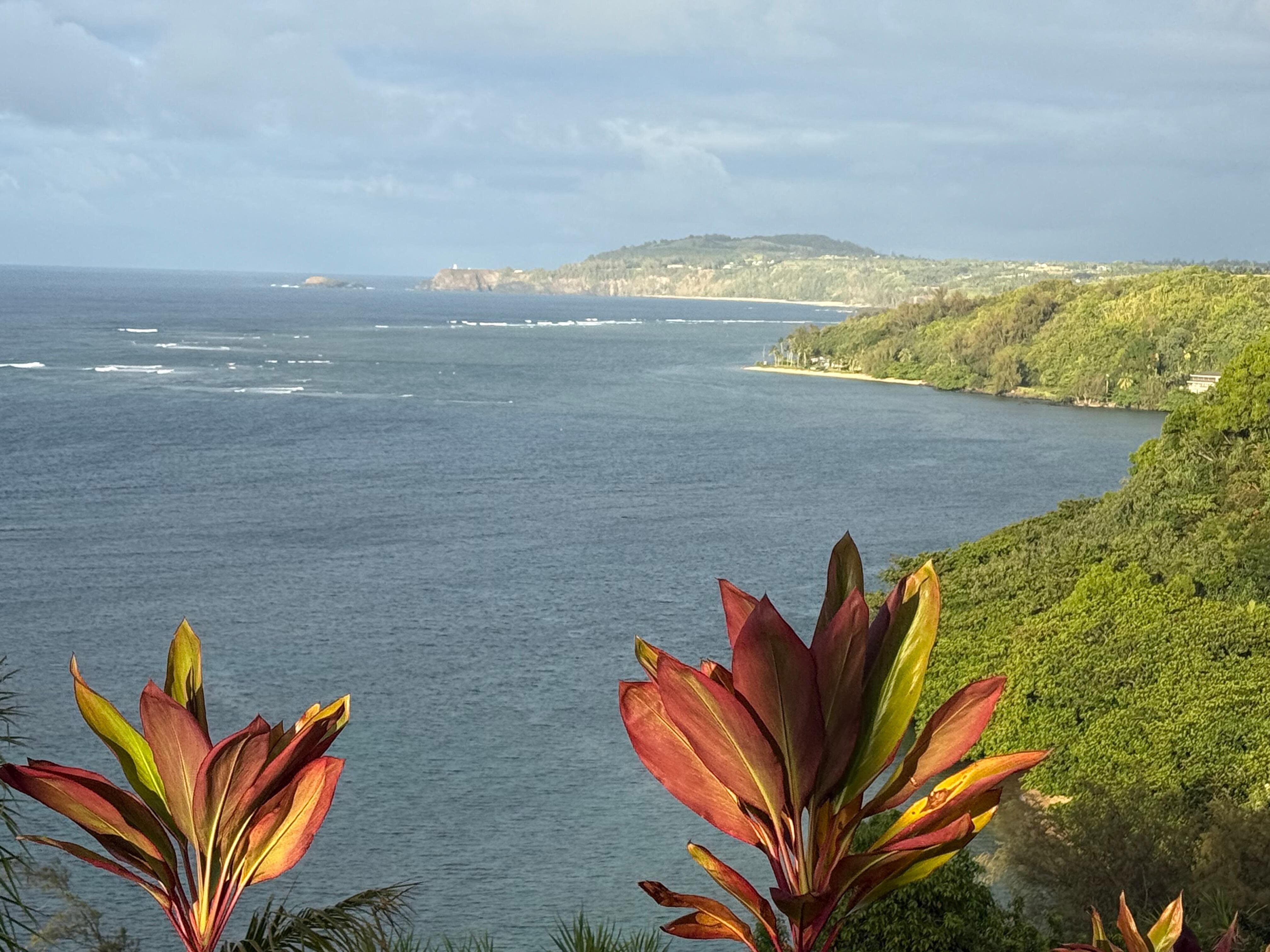 View of coastline from the patio
