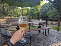 Enjoying a glass of Sonoma on the back deck