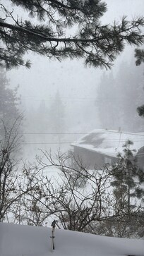 View from the house during a snowstorm - normally this is a view of the lake!