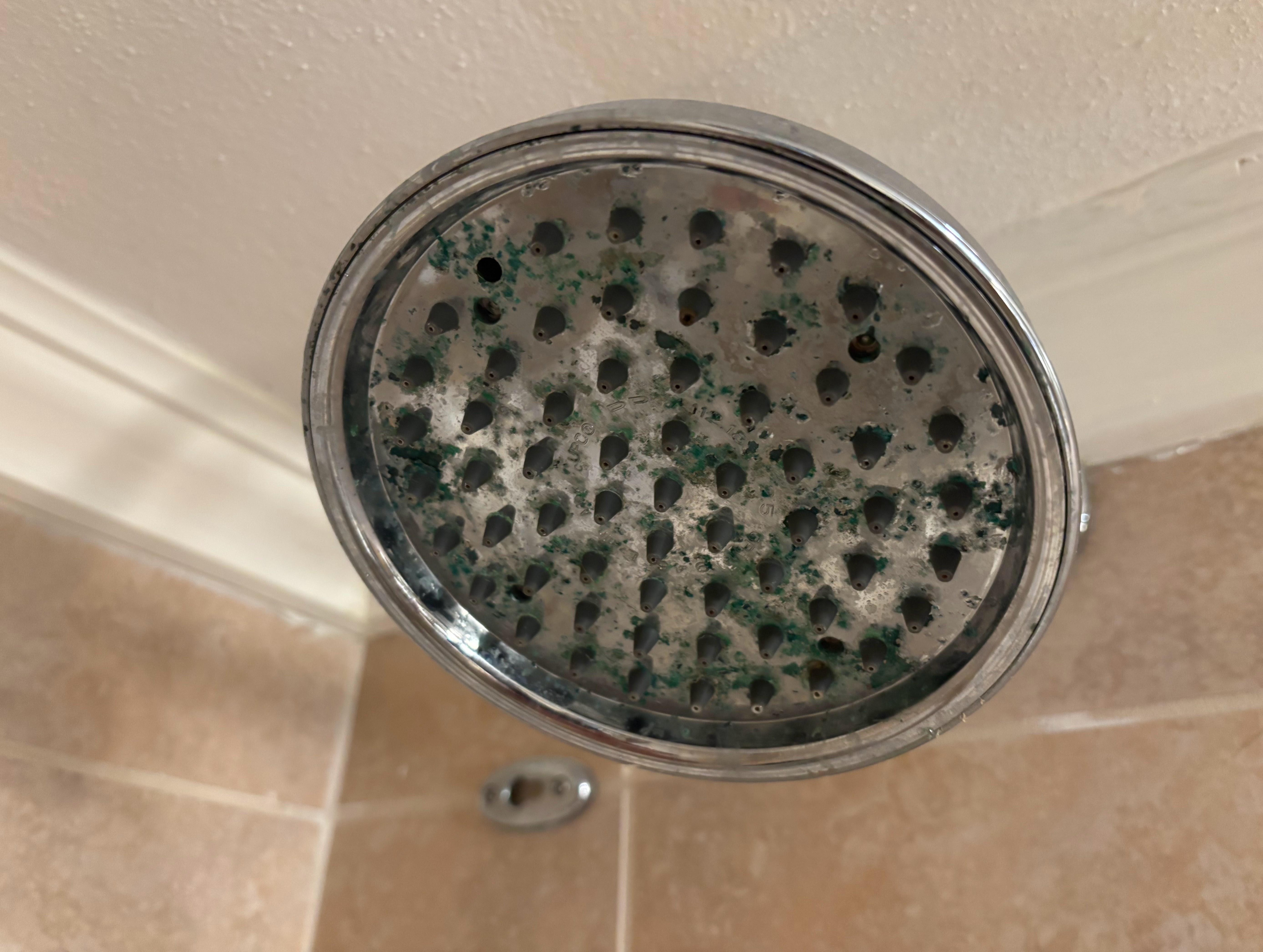 Shower Head crusty and missing nozzles.