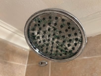 Shower Head crusty and missing nozzles.