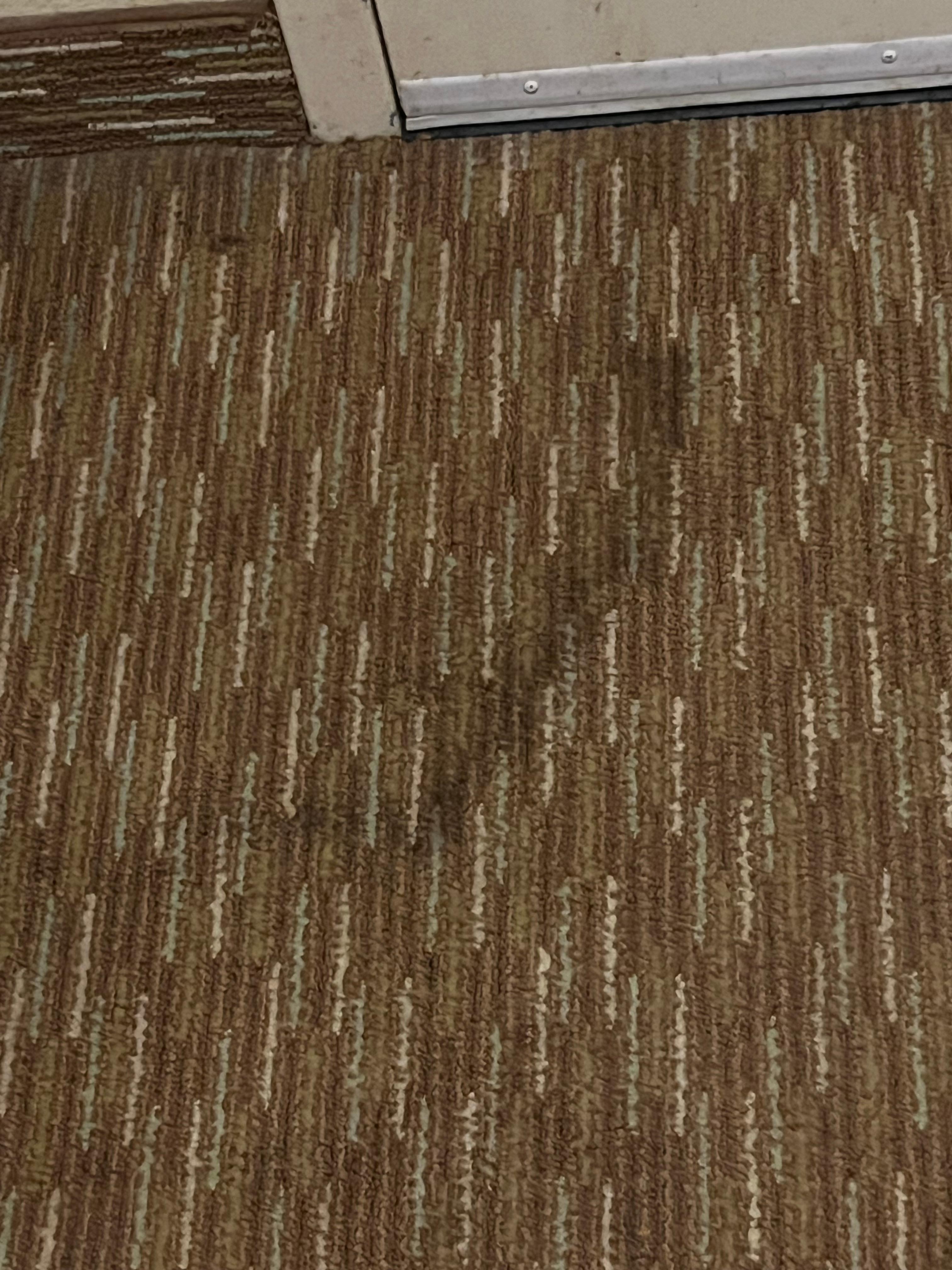 Stain on carpet by the door. 