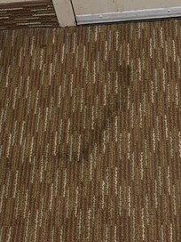 Stain on carpet by the door.