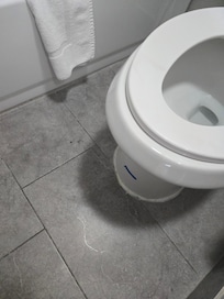 Crumbs around the toilet