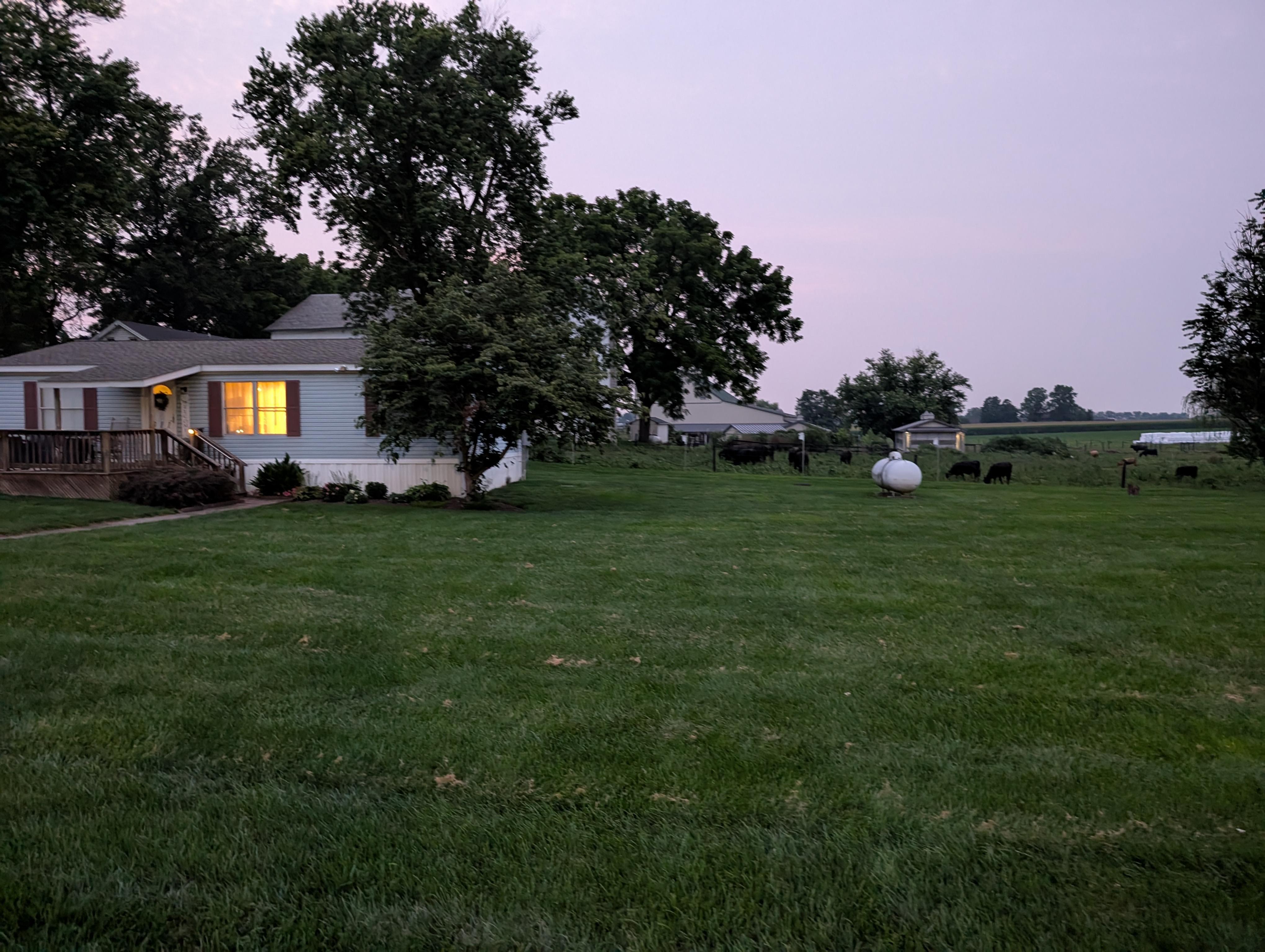 View of the cabin and cow pasture behind.
