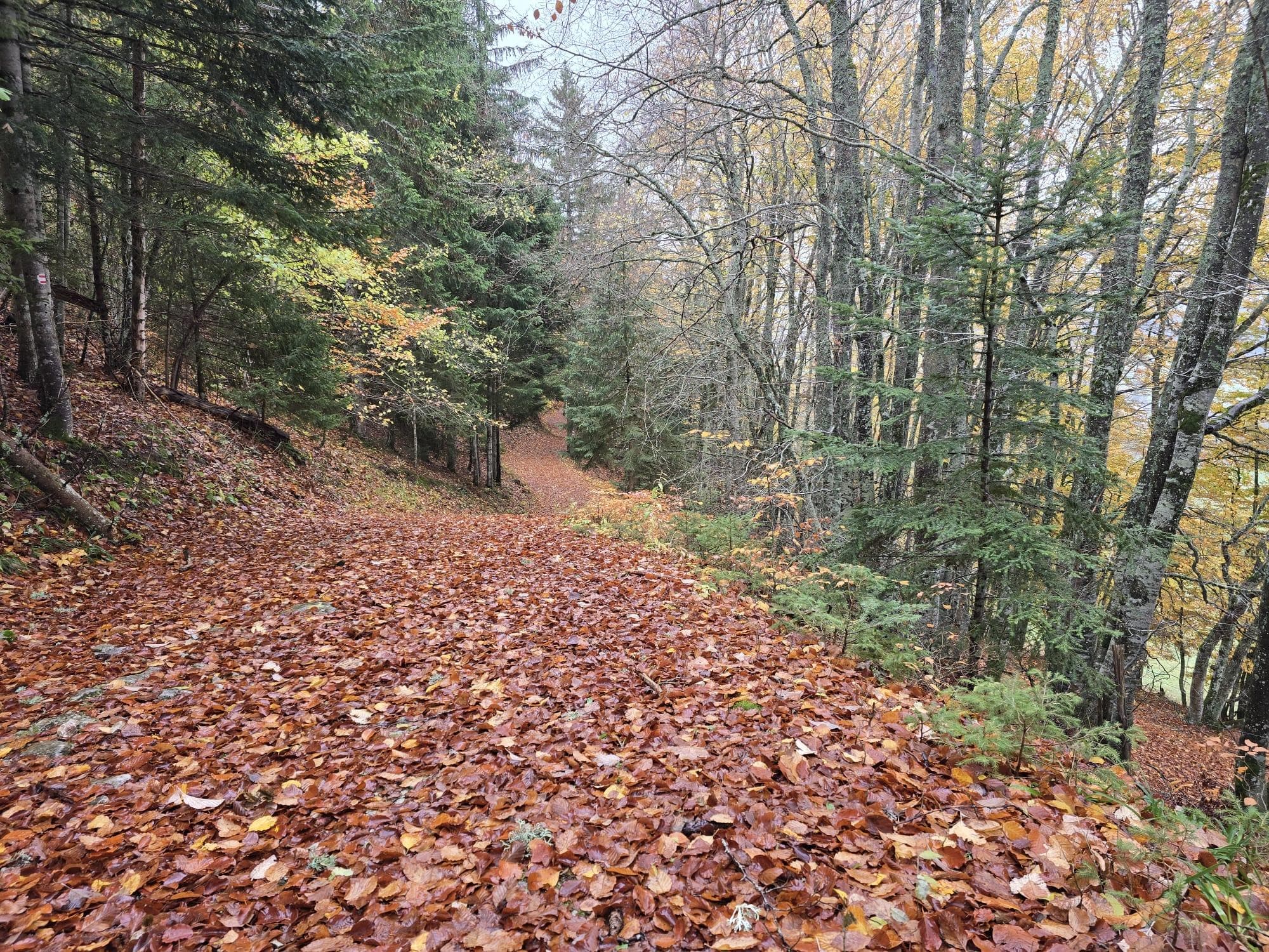 Belle balade à proximité 