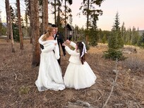 The back yard of the property.